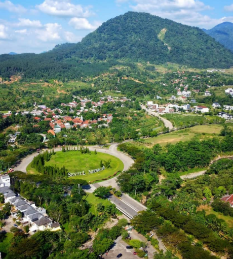 Large Image